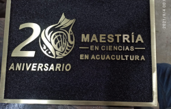 Placa Maestría